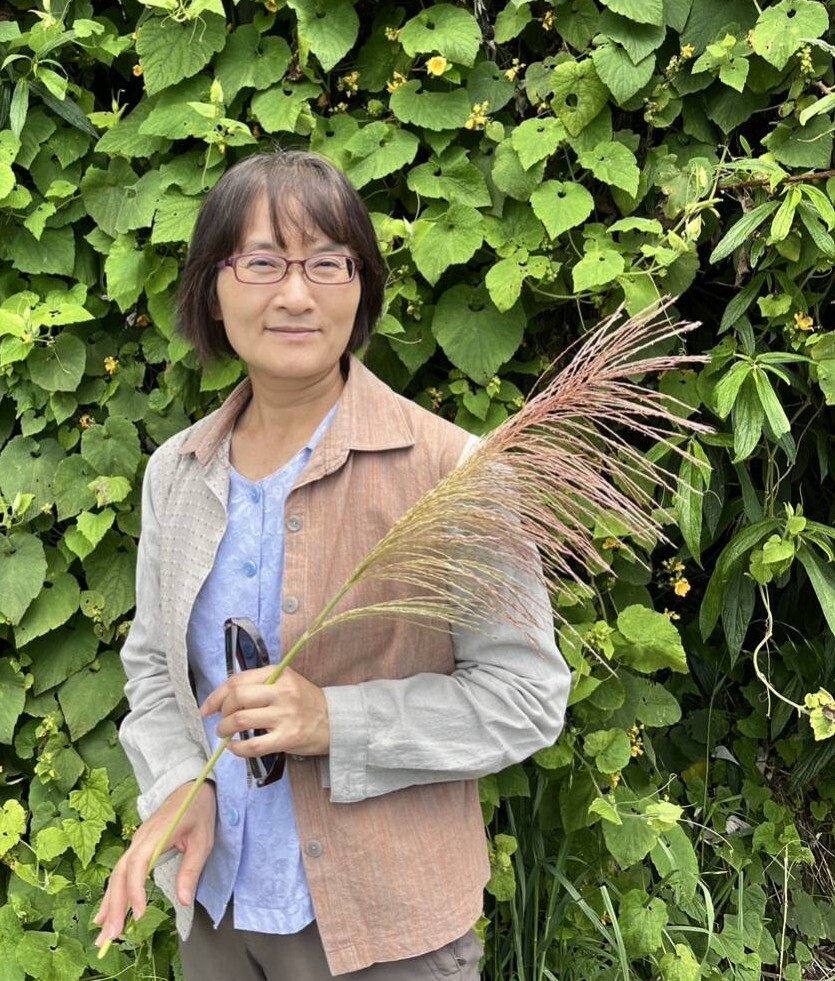 藤葉老師